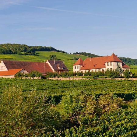 Appartamento Domaine Du Bouxhof Mittelwihr Esterno foto