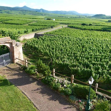 Appartamento Domaine Du Bouxhof Mittelwihr Esterno foto