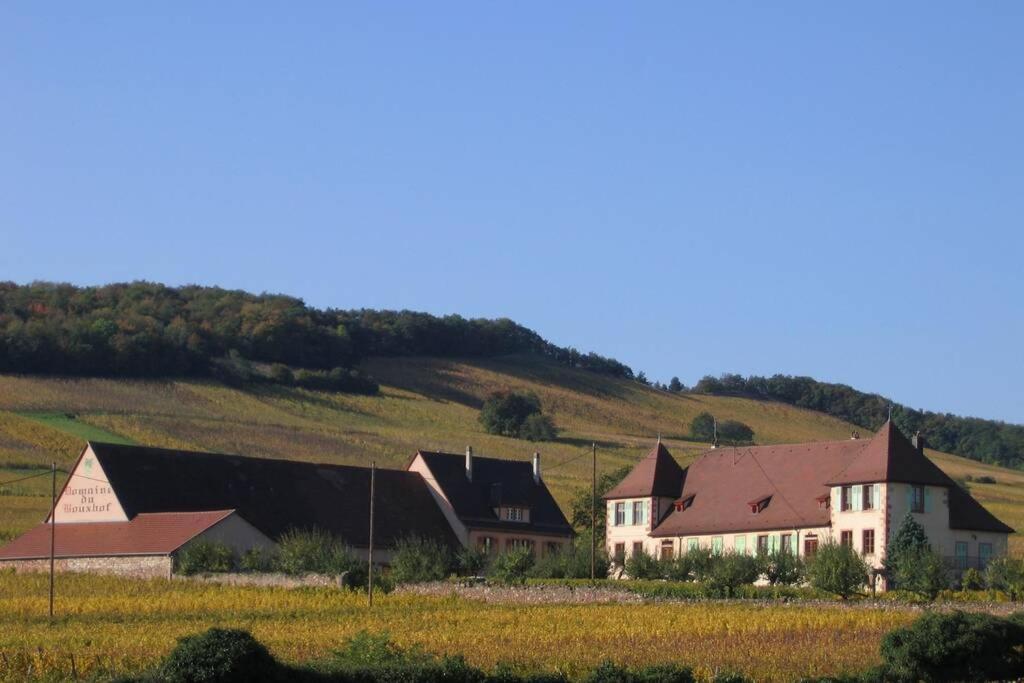 Appartamento Domaine Du Bouxhof Mittelwihr Esterno foto