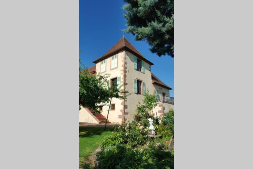 Appartamento Domaine Du Bouxhof Mittelwihr Esterno foto