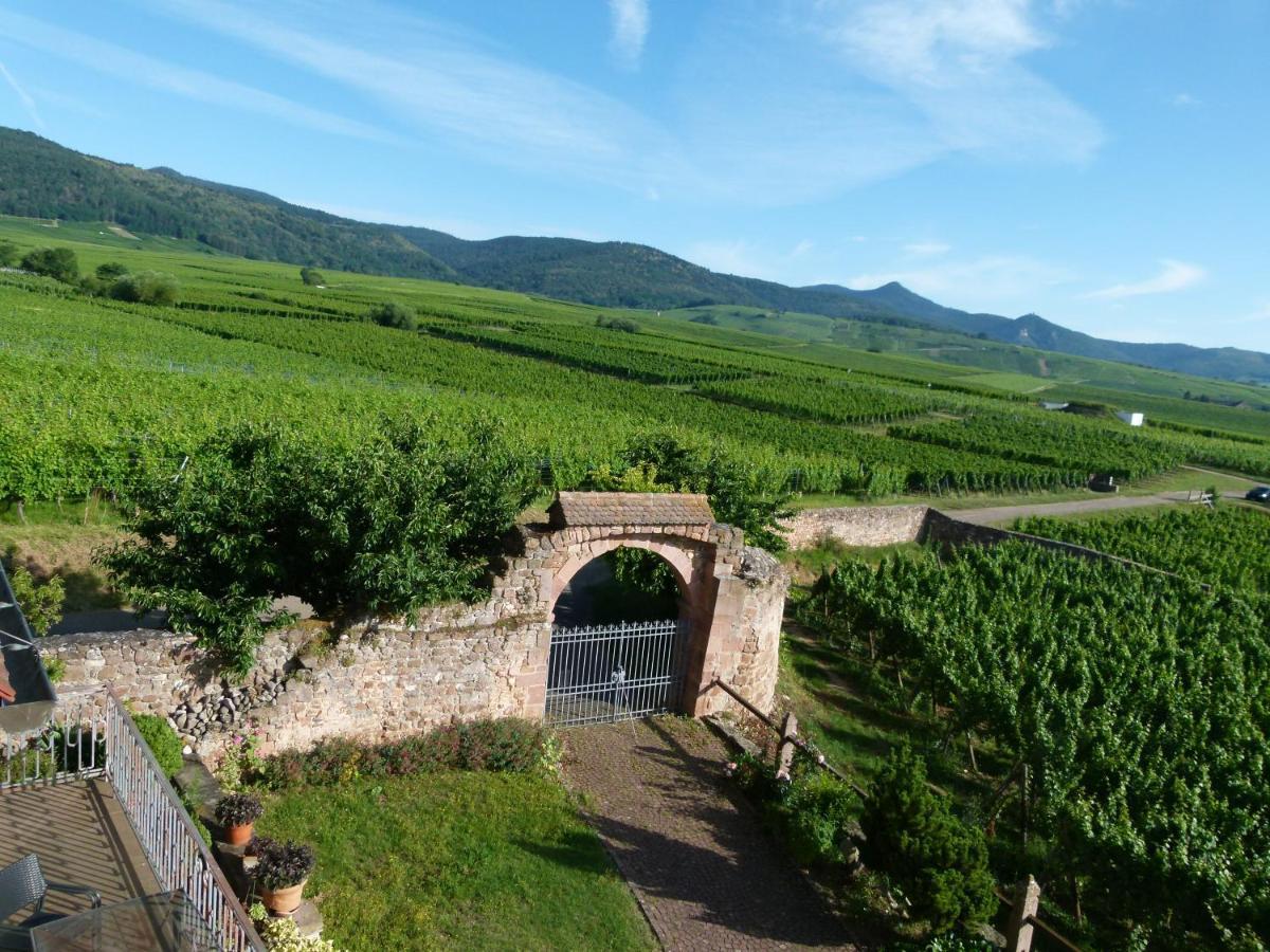 Appartamento Domaine Du Bouxhof Mittelwihr Esterno foto